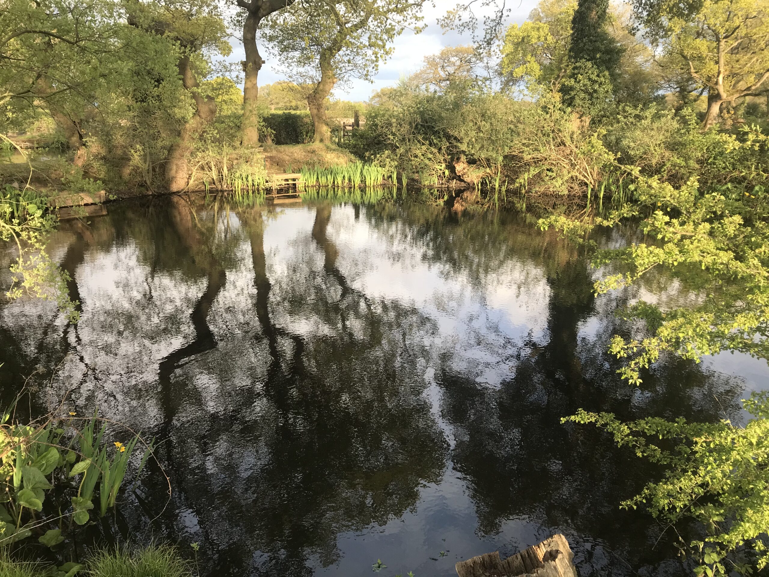 The Black Hole - Thornton Hough Angling Club